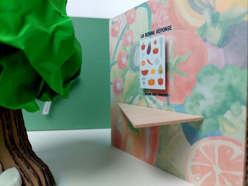 Fruit expo first panel, interactive, answer