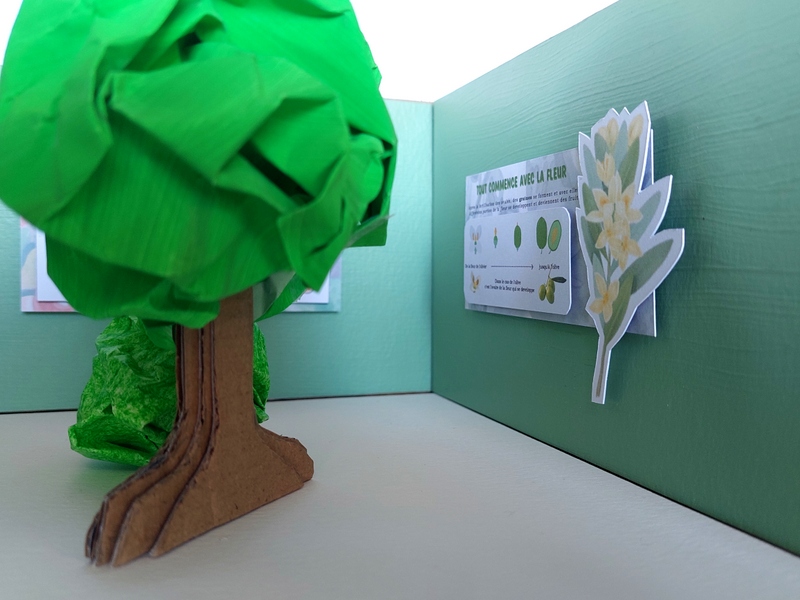 Fruit expo second panel