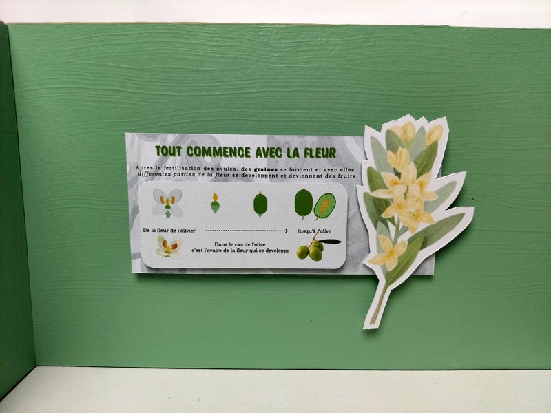 Fruit expo second panel detail