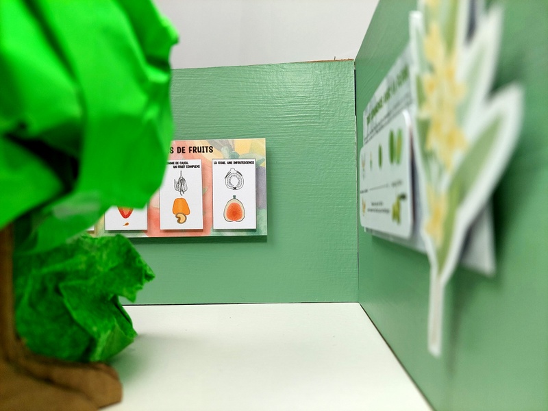 Fruit expo third panel