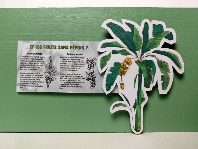 Fruit expo fourth panel, detail 2