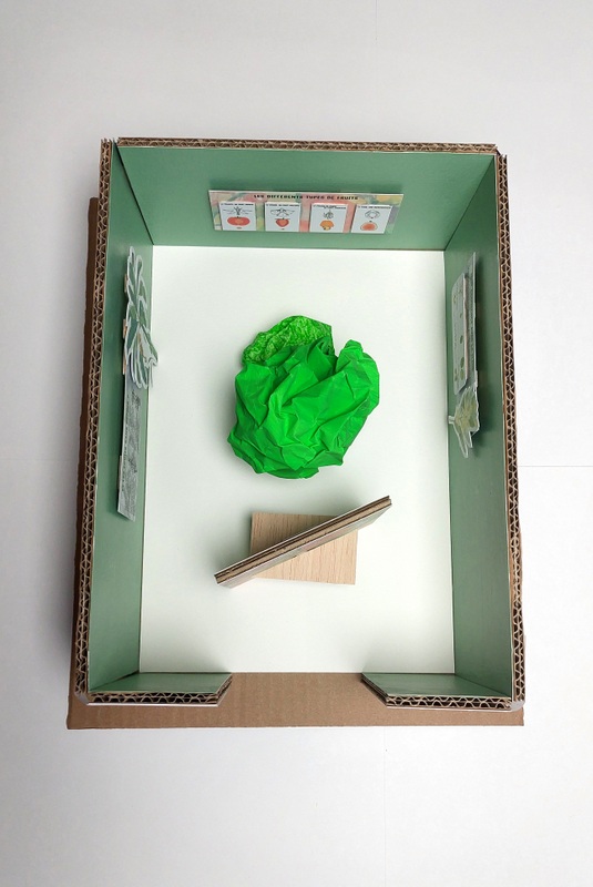 Fruit expo birdseye view