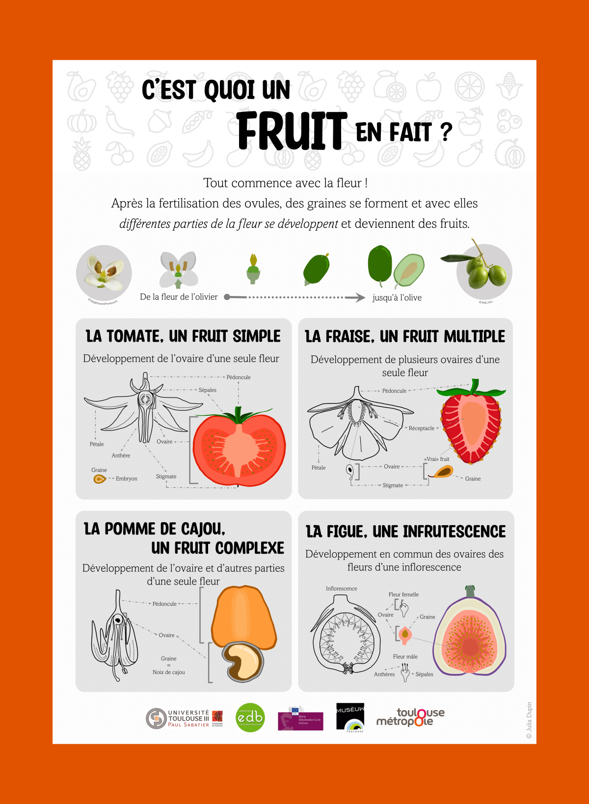 Fruit poster closeup