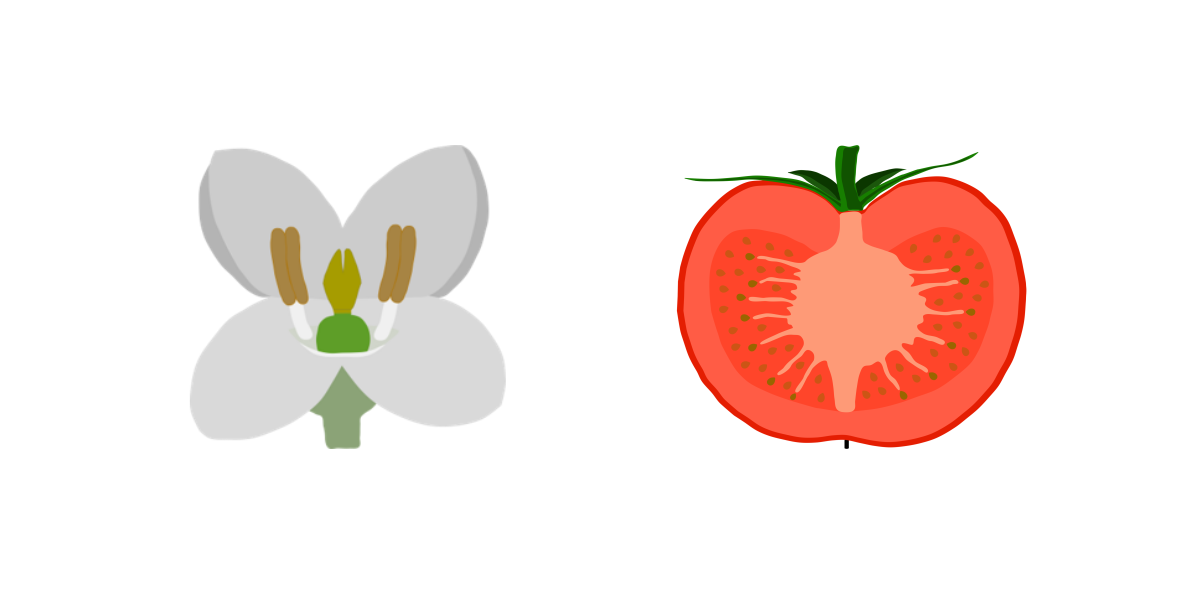 Fruit poster details