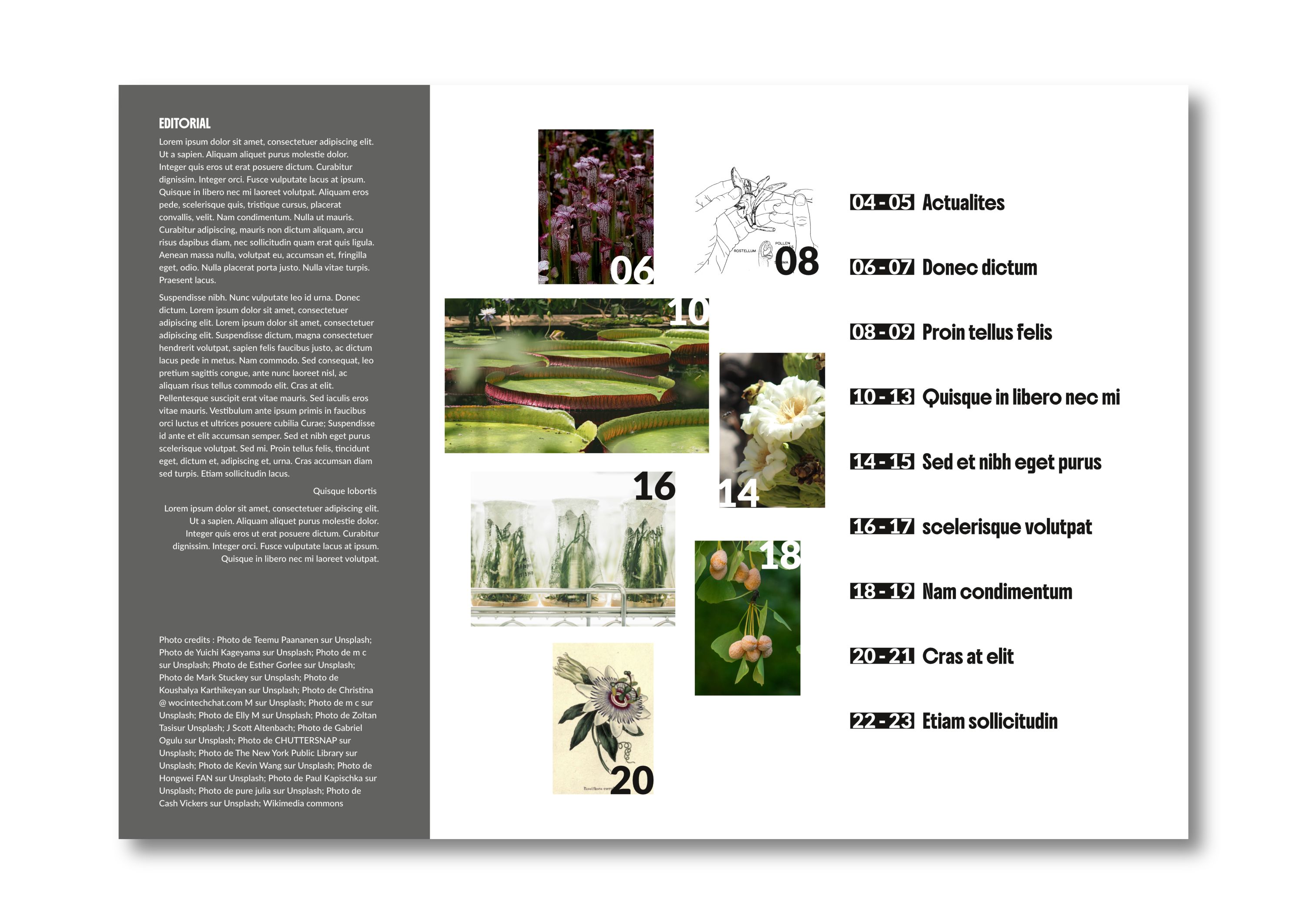 Table of contents spread