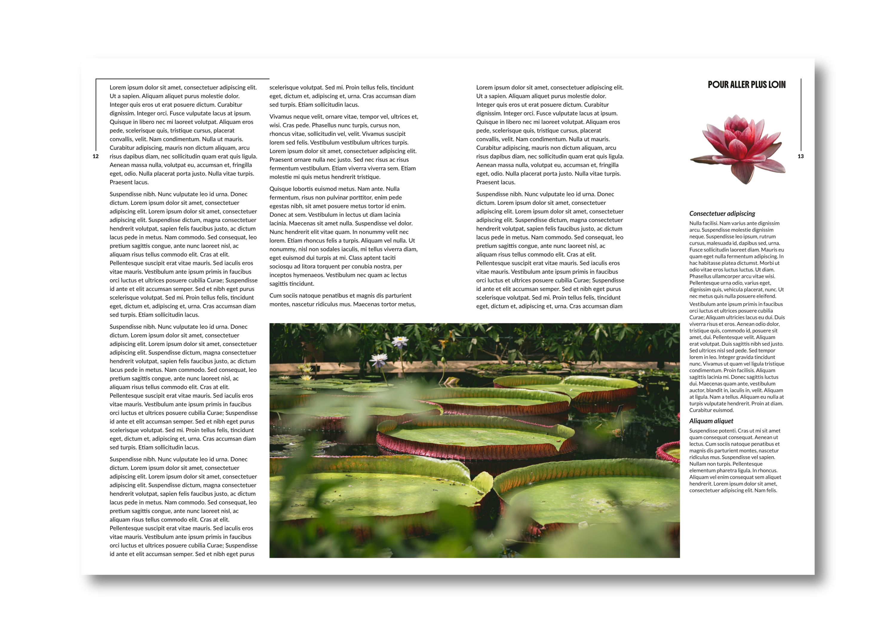 Four page article part 2