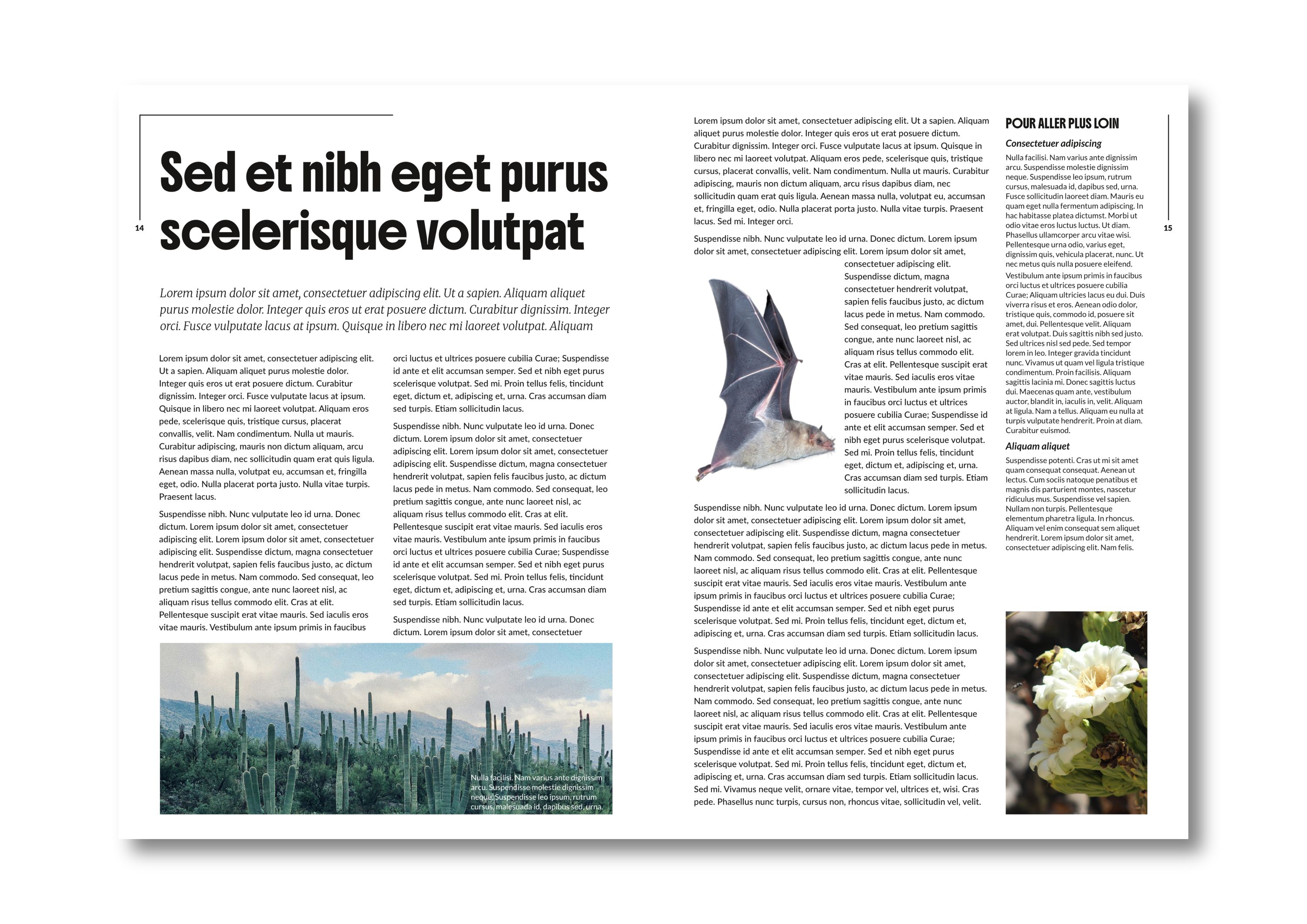 Two page article