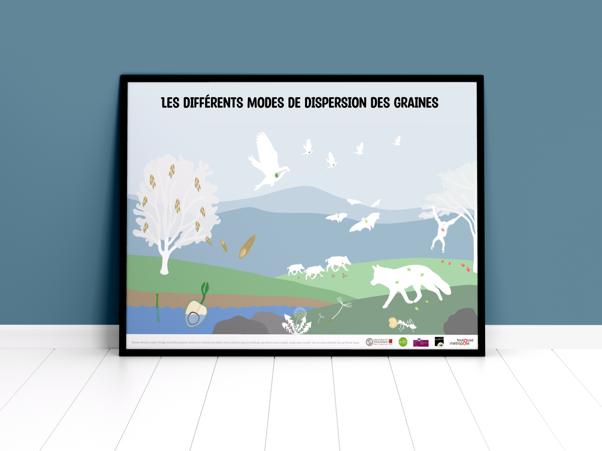 Seed dispersal poster mockup