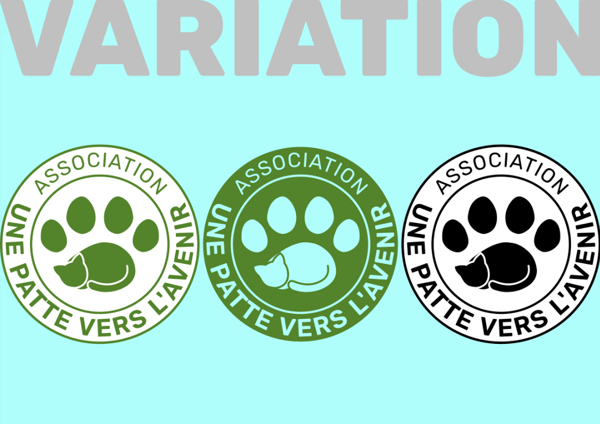 NGO logo variations